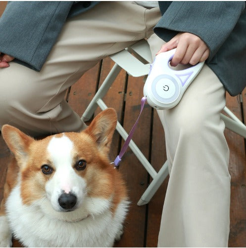 Retractable pet leash